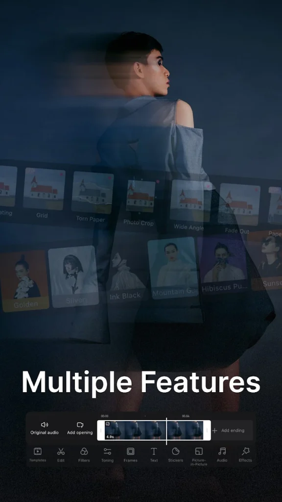 mutiple features video editor